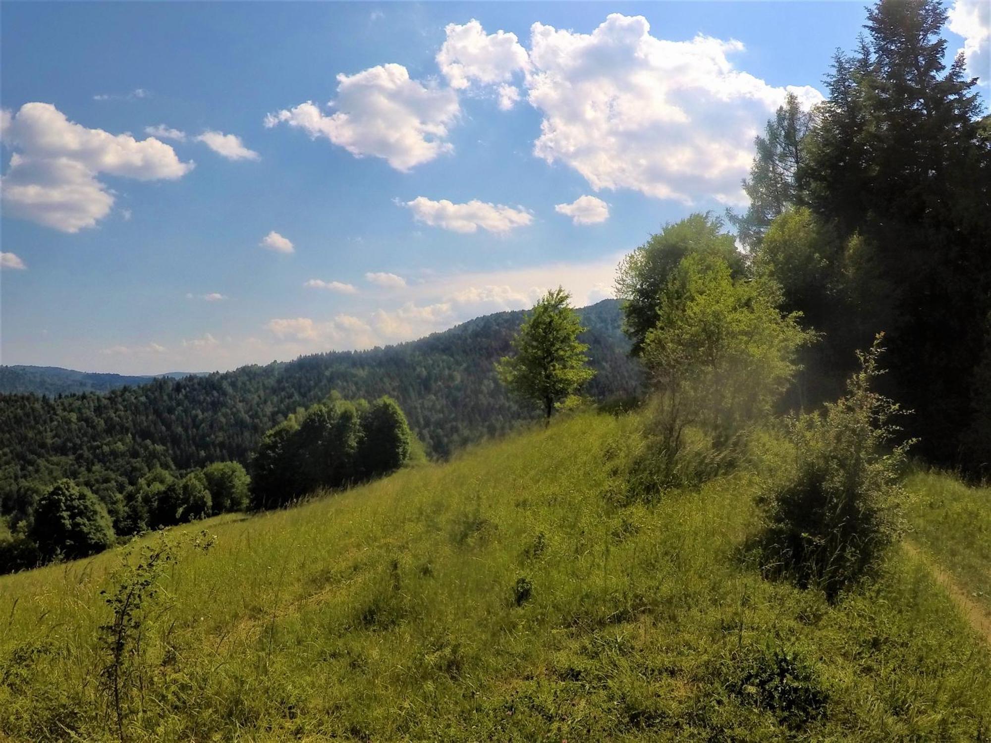 Chalet Dom Z Widokiem Piwniczna-Zdroj